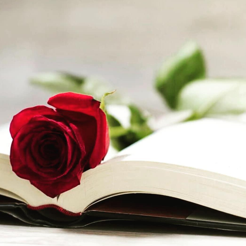 Feliz Sant Jordi!🥀📖&mldr;