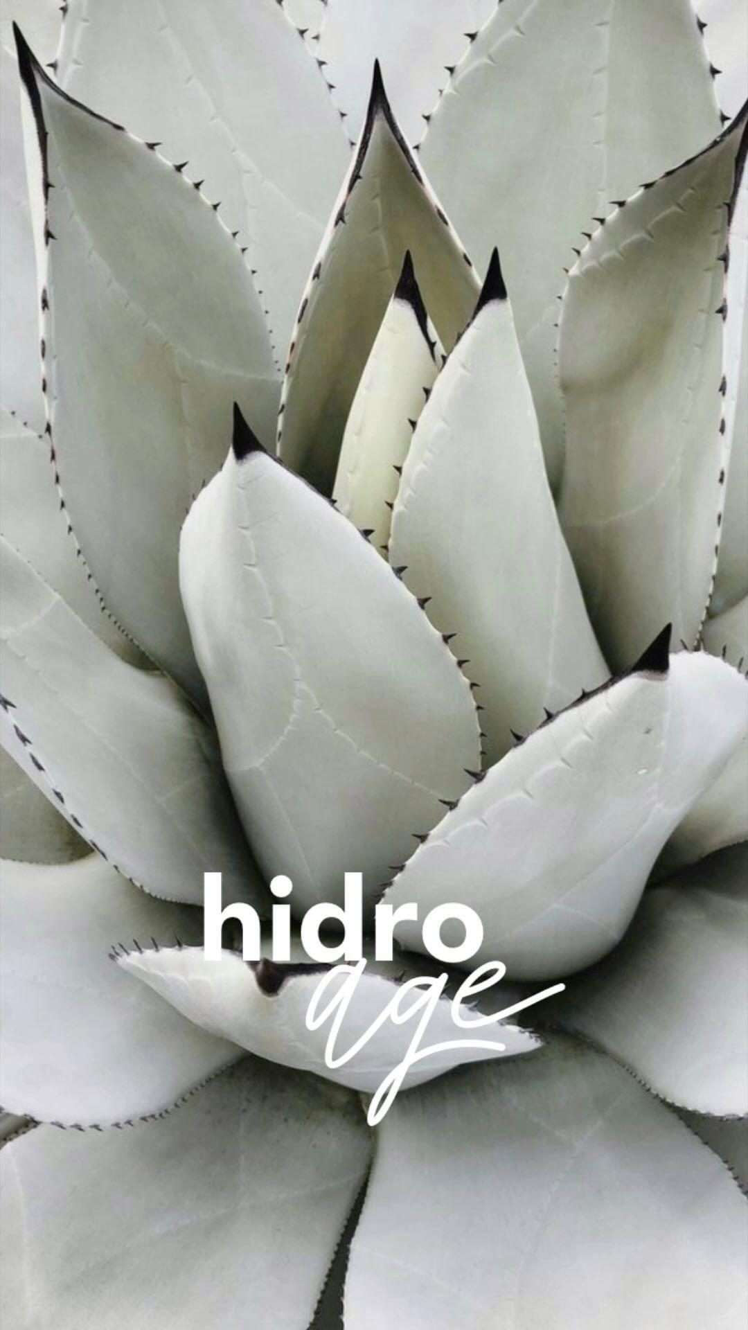 Hoy os enseñamos el tratamiento Hidroage…